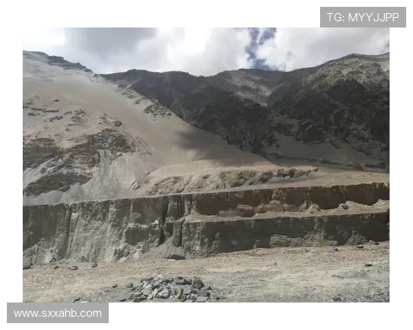 探索周秀英在CSGO中的成长与挑战之路深度对话